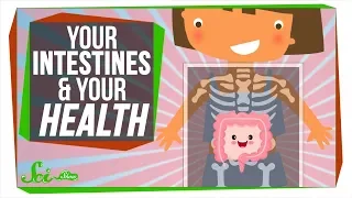 3 Surprising Ways Your Intestines Affect You