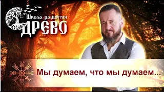 Мы думаем, что мы думаем... Разбор темы