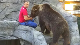 Папа, гостинцы, солнышко, осень. Медведь Мансур 🐻💕