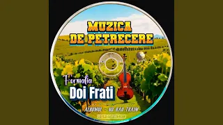 Formatia Doi Frati - MUZICĂ DE PETRECERE (Nu Rau Traim)