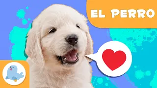 EL PERRO 🐶 Animales para niños 🏡 Episodio 15