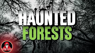 4 Real Life Haunted Forests - Darkness Prevails