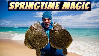 FREEDIVING FOR BIG FLATFISH I How To Catch TURBOT I The Magical Month of May in Scandinavia