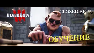 Как нас играть учили!!! BLOOD BOWL 3 Beta обучение.