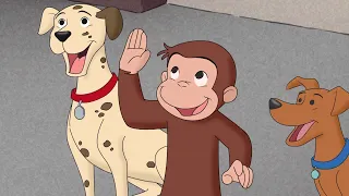 Where's the Firedog? 🐵Curious George 🐵 Kids Cartoon 🐵Kids Movies 🐵Videos for Kids