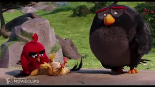 Angry Birds   The Lake of Whiz dom Scene 6 10   Movieclips