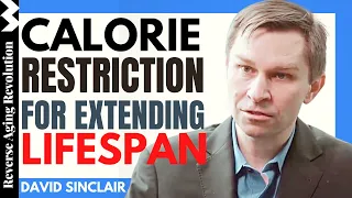 DAVID SINCLAIR "Calorie Restriction For Longevity" | Dr David Sinclair Interview Clips