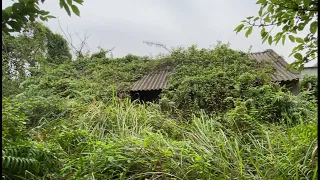 Cleaning the HOUSE is MORE than 100 YEARS old, Overgrown wild Trees cover the whole house | CLEAN UP