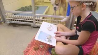 Kids reading books to shelter dogs is helping them get adopted