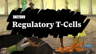 Regulatory T-Cells: Immune System Control (Part 1) | Sketchy Medical | USMLE Step 1