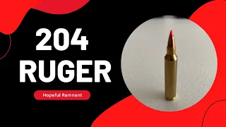 Rifle Cartridge Review: 204 Ruger Ultra Fast and Flat!