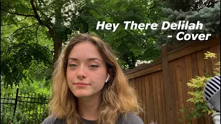 Hey There Delilah - Cover