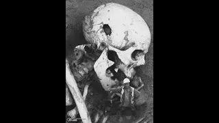 Is there scientific evidence for giants such as Nephilim?