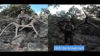 28.8 Lbs. set of brown elk sheds! 8 browns, 12 shed video, April