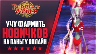 КАК ФАРМИТЬ НОВИЧКУ НА ПАНЬГУ | Дневники PANGU-ONLINE #12 | PERFECT WORLD