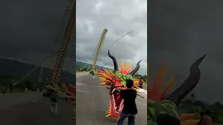 the grandest and amazing dragon kite