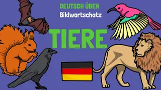 🦜 Tiere Wortschatz | Animals in German | A1-A2 | Deutsch lernen | Learn German