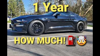 HOW MUCH FUEL TO DAILY DRIVE A 2019 MUSTANG GT FOR 1 YEAR?? *YIKES*