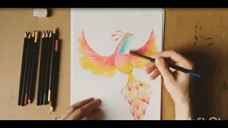 Рисуем цветными карандашами  жар-птицу