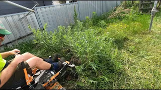 The MOST SATISFYING mowing video yet!!!