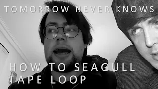 The Seagull Sound Effect from Tomorrow Never Knows