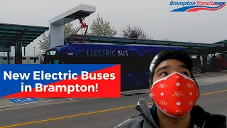 Brampton Transit Is Running Electric Buses Now!