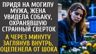 Придя на могилу мужа, жена увидела собаку, охранявшую странный сверток… А заглянув внутрь, оцепенела