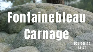 Bouldering in Fontainebleau | Carnage & Classics in France (6A to 7C)