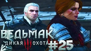 Прохождение Ведьмак 3: Дикая Охота (The Witcher 3: Wild Hunt) — Часть 25: Керис И Демон Хим