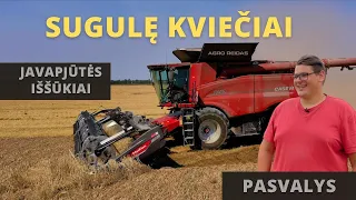 SUGULĘ KVIEČIAI || AGRO REIDAS #65