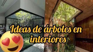 Ideas de árboles en interiores