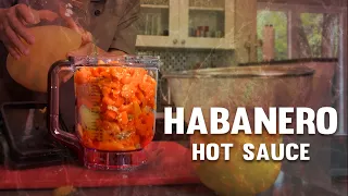 How to Make Habanero Pineapple Fermented Hot Sauce (or Mango!)
