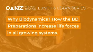 Why Biodynamics? How the BD preps increase life forces in all organic farming and growing systems