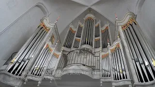 J. S. Bach: Kommst du nun, Jesu, vom Himmel herunter BWV 650 | Schübler Chorales | Bálint Karosi