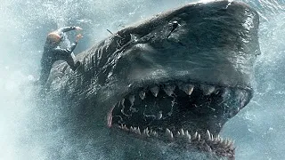 The Shark (2017) Movie Explained In Hindi | Hollywood Movie Explained