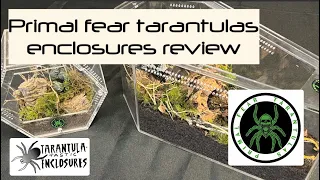 Primal fear tarantulas enclosure review