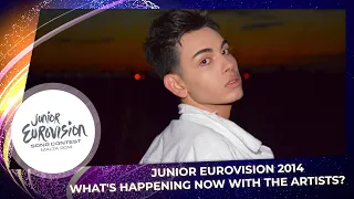 Junior Eurovision 2014 | What's happening now with the artists?