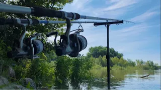 Letný lov na rieke Dunaj - od júla do augusta