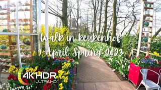 Famous Dutch Flower Park Keukenhof Beautiful Spring Walk 4K HDR 2023