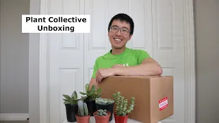 Plant Unboxing - Plant Collective