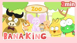 Zoo animal Song | Daily Routines | English Nursery rhymes | BanaKing