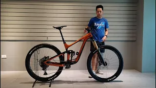 Giant Reign Advanced Pro 1 29 (2022) Bike Check