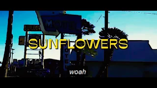 Rex Orange County Cartoon - Sunflower ( Full Lyrics Video)