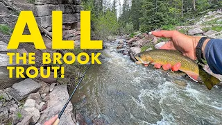 This Creek Is Brook Trout Heaven (Tenkara Fly Fishing)