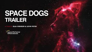 SPACE DOGS | Teaser | ein Film von Elsa Kremser & Levin Peter (2019)