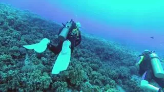 Scuba Diving Molokini Crater Maui Hawaii