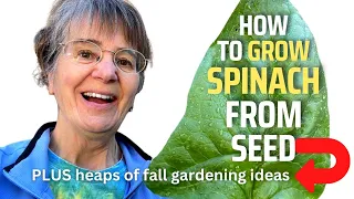 How to grow spinach from seed. Plus TRIED 'n TRUE fall gardening tips.