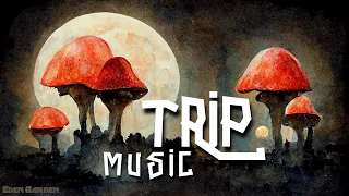 Under The Moonlight And Magic Mushroom Effects | Trip Electro Dub Chill Playlist
