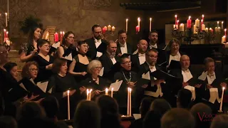 Silent Night - Voices of Ascension Candlelight Christmas