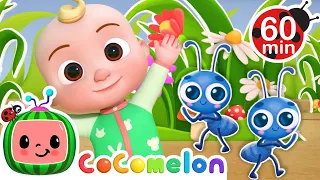 Ants Go Marching 🎶 | 🌈 CoComelon Sing Along Songs 🌈 | Preschool Learning | Moonbug Tiny TV